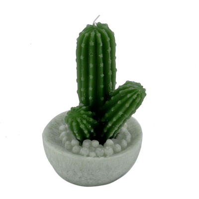 Candela cactus verde tondo cmø10,5h17 Vacchetti