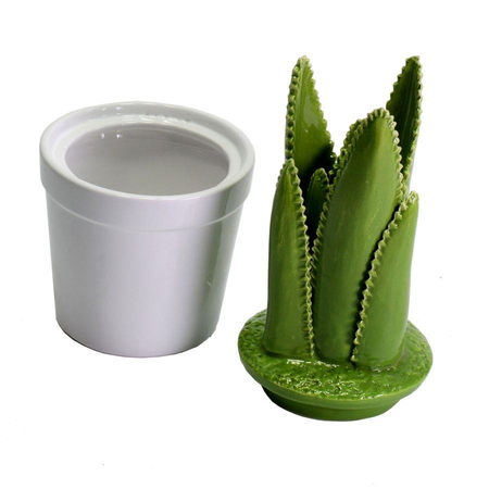 Vaso ceramica con cactus tondo cmø11,5h26,5 Vacchetti
