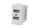 SANDASDON Modulo Caricatore 2 Porte USB 2,1A Bianco Compatibile Con Bticino Matix