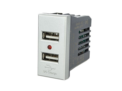 SANDASDON Modulo Caricatore 2 Porte USB 2,1A Silver Compatibile Con Bticino Axolute