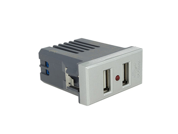 SANDASDON Modulo Caricatore 2 Porte USB 2,1A Silver Compatibile Con Bticino Axolute