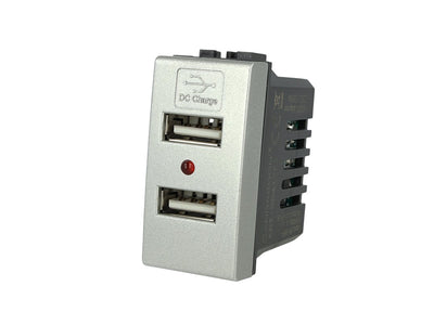 SANDASDON Modulo Caricatore 2 Porte USB 2,1A Grigio Compatibile Con Bticino Living