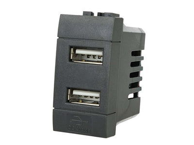 SANDASDON Modulo Caricatore 2 Porte USB 5V 2,1A Nero Compatibile Con Bticino Living