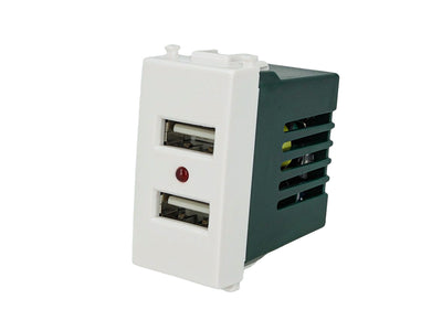 SANDASDON Modulo Caricatore 2 Porte USB 2,1A Bianco Compatibile Con Vimar Plana