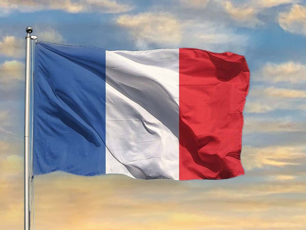 Bandiera Francese Francia 145X90cm In Tessuto Poliestere Con Passante Per L'Asta Carall