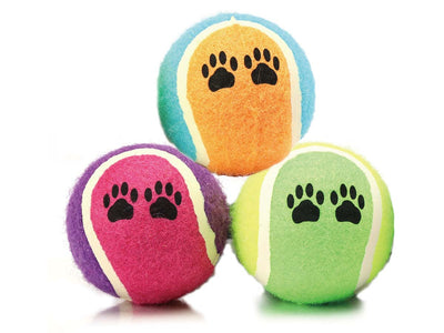 3 Pezzi Palla da Tennis Cane Giocattolo per Cani Animali Domestici