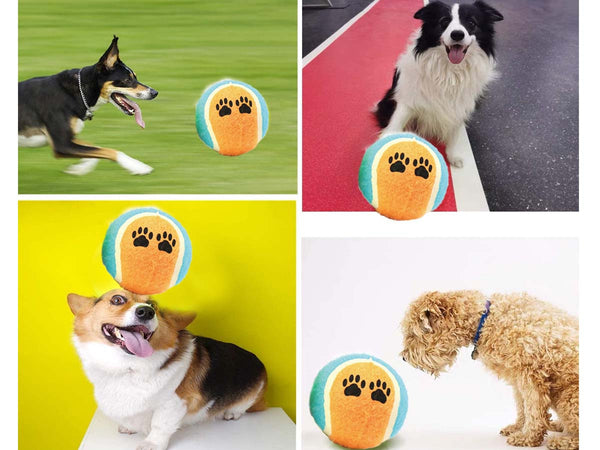3 Pezzi Palla da Tennis Cane Giocattolo per Cani Animali Domestici Zorei