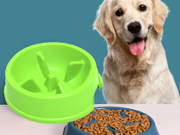 Ciotola Slow Food Per Cani e Gatti Diametro 24cm Altezza 6,5cm Capacit&agrave 1 Litro Colore Assortito