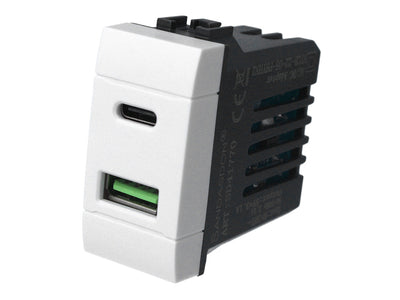 SANDASDON Modulo Presa Caricatore USB 2 Porte 3,1A USB-A + USB Type C Bianco Compatibile Con Bticino Living