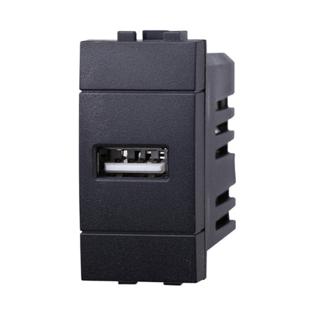 ETTROIT Modulo Presa Caricatore USB 5V 2,1A Colore Nero Compatibile Con Bticino Living International