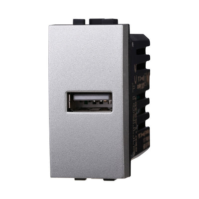 ETTROIT Modulo Presa Caricatore USB 5V 2,1A Colore GRIGIO Compatibile Con Bticino Living International