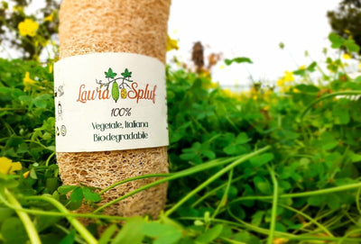 Spugna di Luffa italiana, naturale, biodegradabile, 100% naturale, body scrub Bellezza/Bagno e corpo/Accessori da bagno/Spugne CL Store - Battipaglia, Commerciovirtuoso.it