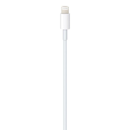 Cavo Apple da USB-C a Lightning (2 m) Originale