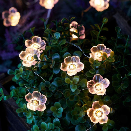 Catena Luminosa Solare di 20 Fiorellini Rosa con LED Bianchi Caldi per Esterni