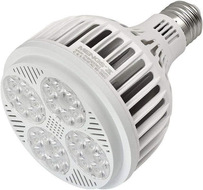 Lampadine E27 PAR30 25W (Equivalente a 200W) Lampada a LED, Faretto a LED Bianco