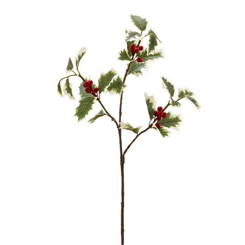 Ramo decorativo artificiale Agrifoglio Bell color verde e rosso gemme rosse, 71 cm Casa e cucina/Decorazioni per interni/Addobbi e decorazioni per ricorrenze/Decorazioni natalizie/Ghirlande e corone MagiediNatale.it - Altamura, Commerciovirtuoso.it