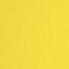 Cartoncino Elle Erre - 50x70cm - 220gr - cedro 25 - Fabriano - blister 20 fogli Casa e cucina/Hobby creativi/Carta e lavorazione della carta/Carta/Cartoncino colorato Eurocartuccia - Pavullo, Commerciovirtuoso.it