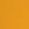 Cartoncino Elle Erre - 50x70cm - 220gr - aragosta 26 - Fabriano - blister 20 fogli Casa e cucina/Hobby creativi/Carta e lavorazione della carta/Carta/Cartoncino colorato Eurocartuccia - Pavullo, Commerciovirtuoso.it