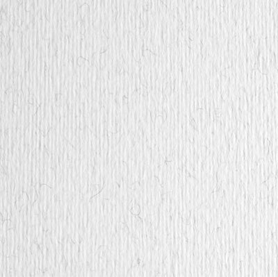 Cartoncino Elle Erre - 50x70cm - 220gr - brina 29 - Fabriano - blister 20 fogli Casa e cucina/Hobby creativi/Carta e lavorazione della carta/Carta/Cartoncino colorato Eurocartuccia - Pavullo, Commerciovirtuoso.it