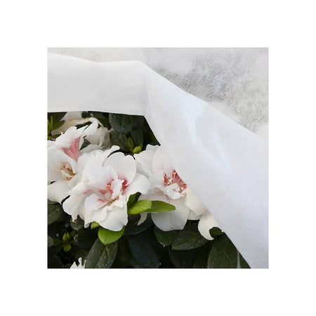 Telo protezione piante Verdelook 520/63 Bianco