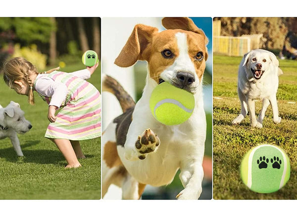 3 Pezzi Palla da Tennis Giocattolo per Cani Animali Domestici
