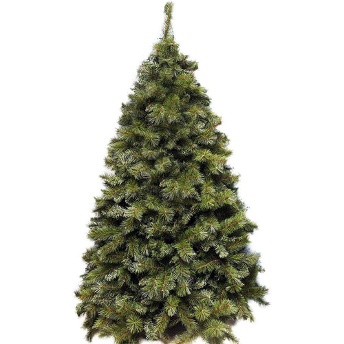 Albero di Natale Boston in PP Effetto Aghi di Pino + PVC di altissima qualità Casa e cucina/Decorazioni per interni/Addobbi e decorazioni per ricorrenze/Decorazioni natalizie/Alberi di natale artificiali MagiediNatale.it - Altamura, Commerciovirtuoso.it