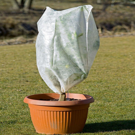 Telo antigelo termico "Hood plant" telo protettivo per piante Giardino e giardinaggio/Giardinaggio/Serre e attrezzature per la germinazione/Miniserre La Zappa - Altamura, Commerciovirtuoso.it