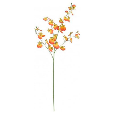 Stelo Yes Everyday 0172407 Orchidea Harmony X4F Arancione H81 cm