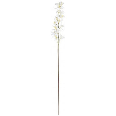 Stelo Yes Everyday 0172626 Orchidea Dendrobium X15F Bianco H104
