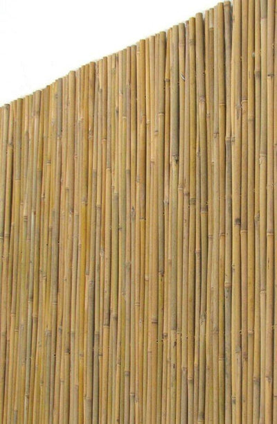 Graticcio in bambù intero - 200 x 300 cm