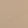Foglio Mi-Teintes - A4 - 160 gr - grigio trianon - Canson [multipack] 25 pezzi Casa e cucina/Hobby creativi/Carta e lavorazione della carta/Carta/Cartoncino colorato Eurocartuccia - Pavullo, Commerciovirtuoso.it