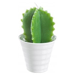 Candela Yes Everyday 0163526 MEXICO Cactus Verde e Bianco