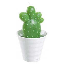 Candela Yes Everyday 0163525 MEXICO Cactus Verde e Bianco