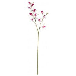 Stelo Yes Everyday 0172625 Orchidea Dendrobium X11F+2B Fucsia H92