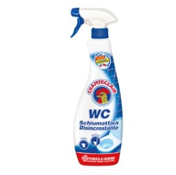 Anticalcare spray WC - 625 ml - Chanteclair Casa e cucina/Detergenti e prodotti per la pulizia/Detergenti per la casa/Detergenti multiuso Eurocartuccia - Pavullo, Commerciovirtuoso.it