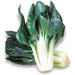 Semi di bietola verde A costa larga argentata 3 piante per orto e giardino Giardino e giardinaggio/Piante semi e bulbi/Piante da esterno/Vegetali La Zappa - Altamura, Commerciovirtuoso.it