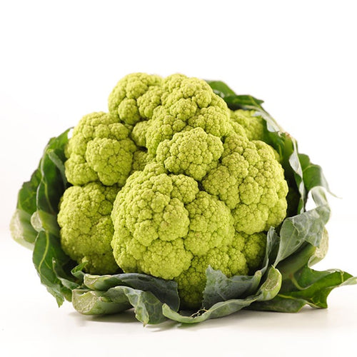Semi di cavolfiore verde di Macerata Barese piante per orto e giardino Giardino e giardinaggio/Piante semi e bulbi/Piante da esterno/Vegetali La Zappa - Altamura, Commerciovirtuoso.it