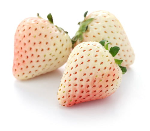 Semi di Fragola bianca Pineberry  piante per orto e giardino coltivazione domestica e professionale Giardino e giardinaggio/Piante semi e bulbi/Piante da esterno/Vegetali La Zappa - Altamura, Commerciovirtuoso.it