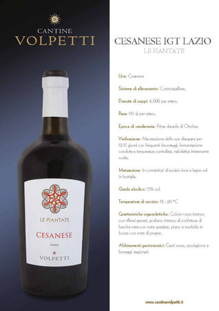 Cantine Volpetti vino Rosso CESANESE IGT LAZIO Bottiglia 750ml imballo sicuro vino Non solo caffè online - Albano Laziale, Commerciovirtuoso.it