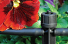 Programmatore Amico Più 2 in ABS centralina con display da 3 retroilluminato Giardino e giardinaggio/Attrezzi da giardino e attrezzature per l'irrigazione/Attrezzature per l'irrigazione/Computer per irrigazione La Zappa - Altamura, Commerciovirtuoso.it