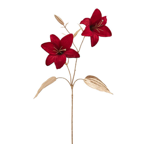 Ramo dorato con fiori rossi Lilium Rex h 75 cm per albero di natale e decorazioni natalizie Casa e cucina/Decorazioni per interni/Addobbi e decorazioni per ricorrenze/Decorazioni natalizie/Ghirlande e corone MagiediNatale.it - Altamura, Commerciovirtuoso.it