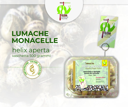Lumache da Gastronomia Helix Aspersa 11-12 gr. Cad Pronte per la Cottura Filiera Lumache Italiane Lumache Coclè - Piana di Monte Verna, Commerciovirtuoso.it