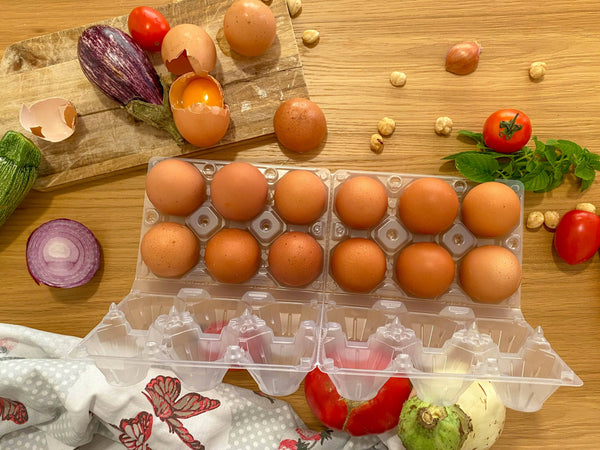 confezioni da 6 uova in plastica
