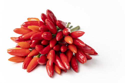 Semi di peperone Piccante guardacielo  piante per orto e giardino coltivazione domestica e professionale Giardino e giardinaggio/Piante semi e bulbi/Piante da esterno/Vegetali La Zappa - Altamura, Commerciovirtuoso.it