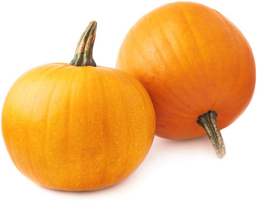 Semi di zucca Mammoth gold piante per orto e giardino coltivazione domestica e professionale Giardino e giardinaggio/Piante semi e bulbi/Piante da esterno/Vegetali La Zappa - Altamura, Commerciovirtuoso.it