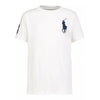 Polo Ralph Lauren Big Pony T-Shirt Maniche Corte Uomo Moda/Uomo/Abbigliamento/T-shirt polo e camicie/T-shirt Euforia - Bronte, Commerciovirtuoso.it