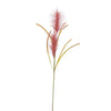 Ramo decorativo Khali Pampas color Rosso Ø 5 x h 85 cm Casa e cucina/Decorazioni per interni/Addobbi e decorazioni per ricorrenze/Decorazioni natalizie/Ghirlande e corone MagiediNatale.it - Altamura, Commerciovirtuoso.it