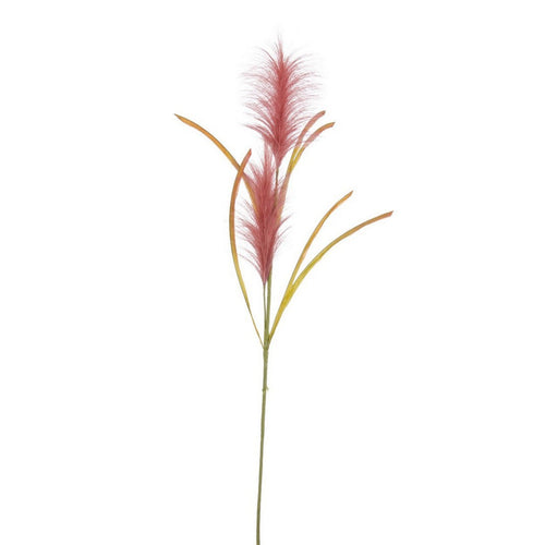 Ramo decorativo Khali Pampas color Rosso Ø 5 x h 85 cm Casa e cucina/Decorazioni per interni/Addobbi e decorazioni per ricorrenze/Decorazioni natalizie/Ghirlande e corone MagiediNatale.it - Altamura, Commerciovirtuoso.it