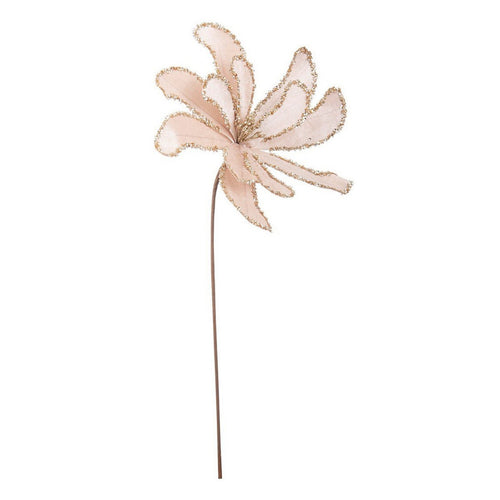 Ramo decorativo Girandola decorativa color Champagne Ø 31 x h 50 cm Casa e cucina/Decorazioni per interni/Addobbi e decorazioni per ricorrenze/Decorazioni natalizie/Ghirlande e corone MagiediNatale.it - Altamura, Commerciovirtuoso.it