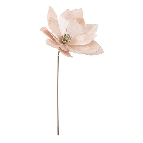 Ramo decorativo Calipso Poinsettia color Champagne Ø 34 x h 50 cm Casa e cucina/Decorazioni per interni/Addobbi e decorazioni per ricorrenze/Decorazioni natalizie/Ghirlande e corone MagiediNatale.it - Altamura, Commerciovirtuoso.it